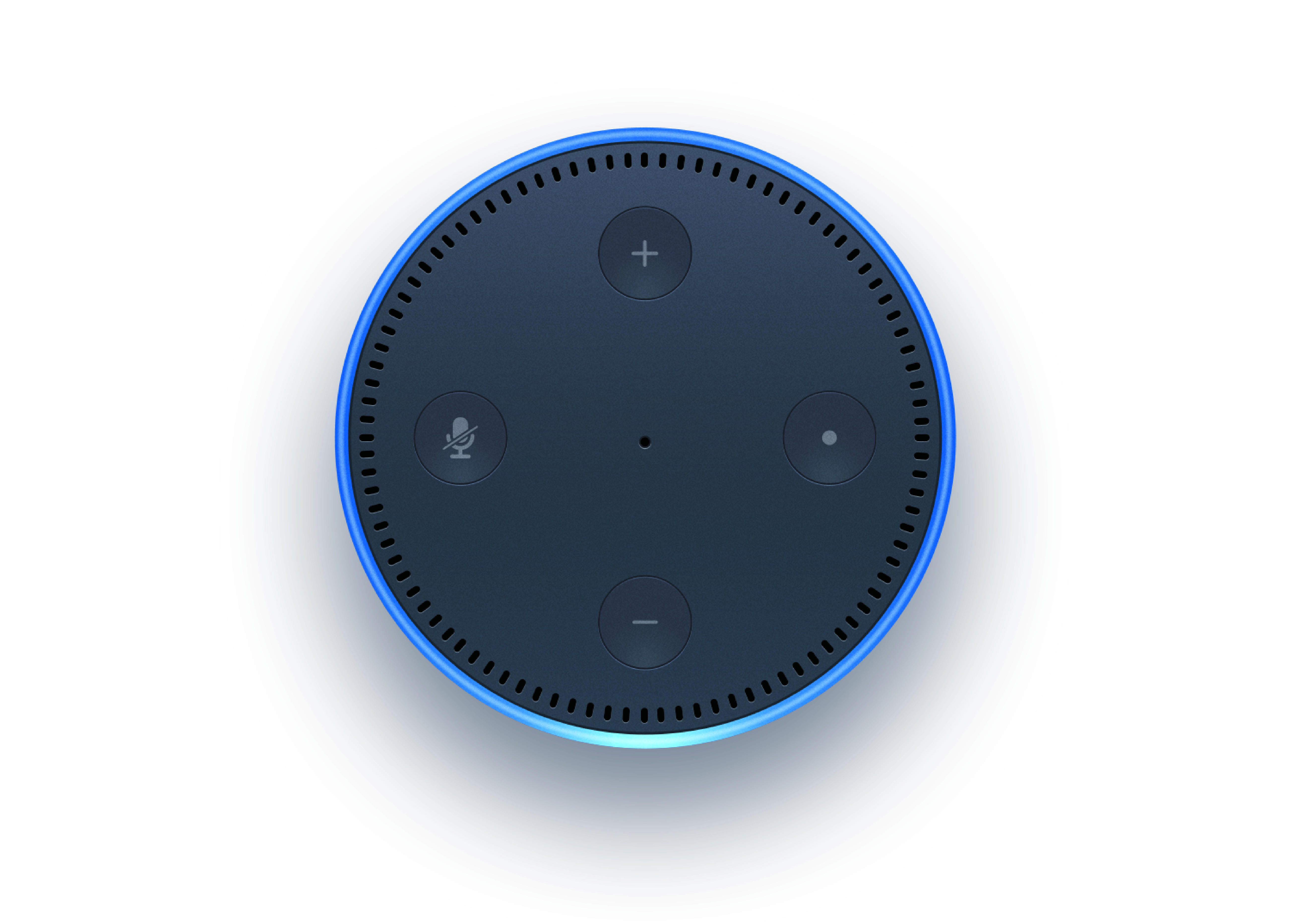 An Amazon Alexa